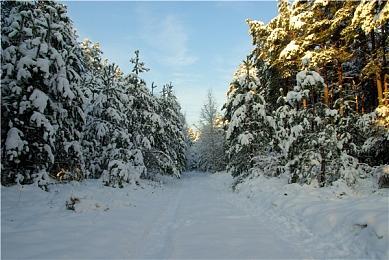 《艾尔登法环》确认不会有跑腿任务